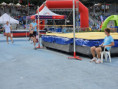 /album/ekag-2025-european-kids-athletics-games/38-jpg1/