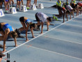 /album/ekag-2025-european-kids-athletics-games/58-jpg1/