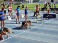 /album/ekag-2025-european-kids-athletics-games/62-jpg1/