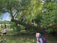 /album/tabor-2026/20260715-154851-jpg/