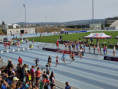 /album/ekag-2026-european-kids-athletics-games/88-jpg2/