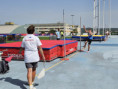 /album/ekag-2026-european-kids-athletics-games/116-jpg1/